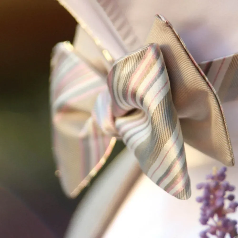 NWT Men's bow tie Silk Self-tied Gift Box S441 Christmas gift Ready‎ to ship